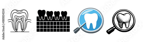Dental health icons: tooth anatomy, dental chart, checkup, and magnified tooth