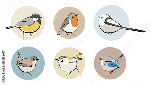 1691_Vector set of wild colorful birds