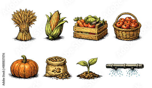 Harvest collection: wheat, corn, vegetables, apples, pumpkin, seeds, sprout, irrigation
