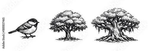 Monochrome sketch of bird and two trees on dark background