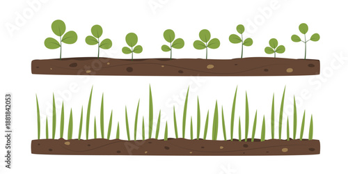 Green sprouts growing from soil. Seedling beds. Spring illustration for design, decoration, border, banner, invitation, sale.