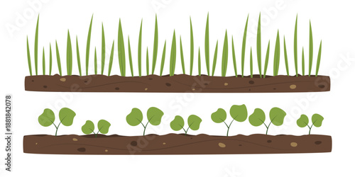 Green sprouts and soil. Seedling beds. Spring illustration for design, decoration, border, banner, invitation, sale.