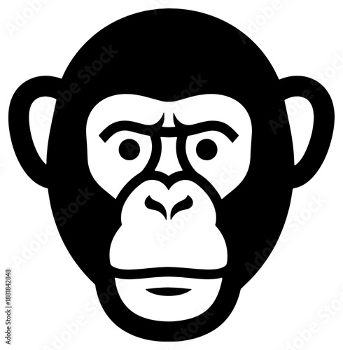 Close-up of a monkey's face