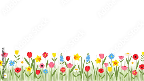 Colorful Flowers in a Field.