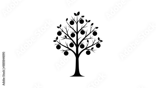 Black and white vector illustration of an apple tree with fruits and leaves on a white background.