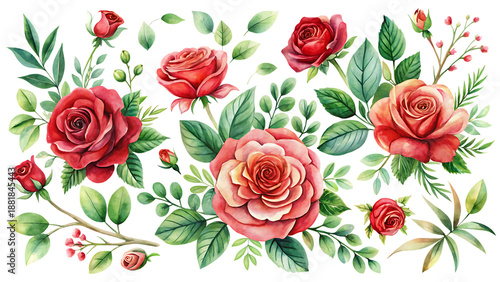 Red and pink roses with green leaves on black background