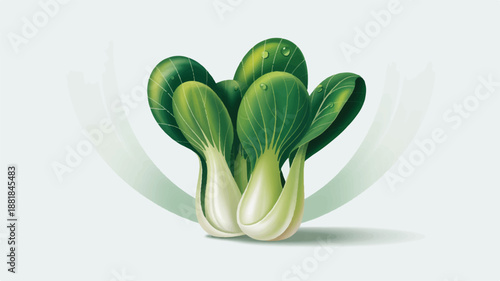Fresh green bok choy vegetable bunches on white background