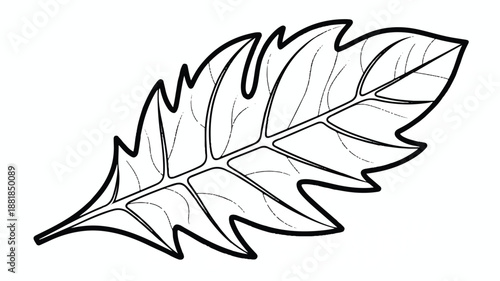 line drawing of a tropical leaf with many pointed segments