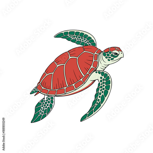 An isolated illustration of a sea turtle with a red carapace and green flippers swimming