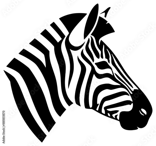 Black and white zebra profile