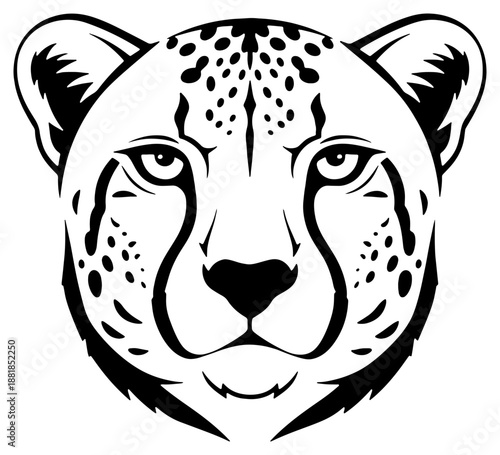 Close-up of a cheetah's face