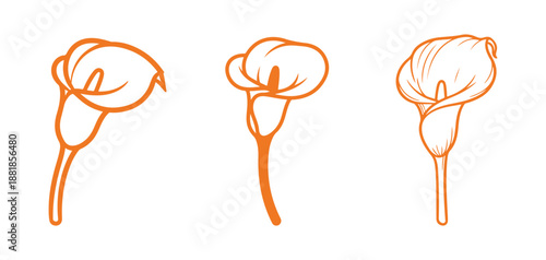 Doodle of calla lilies icon on a white background. Flower sketch. Coloring book page. Outline vector illustration.