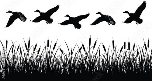 Duck, hunting, silhouette, flying, mallard, flock, wetland, cattails, reeds, marsh, water, fowl, bird, nature, wildlife, outdoor, hunter, sky, migration, vector, lake, grass