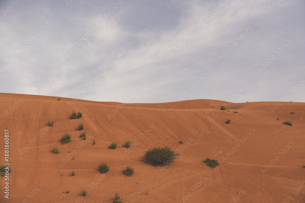 Obraz premium Red sands desert dunes