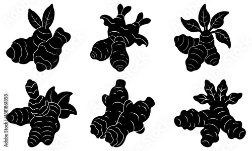 Six Black Ginger Root Silhouettes with Leaves on White Background
