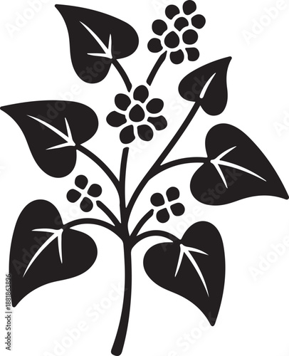 Buckwheat icon plant white background.