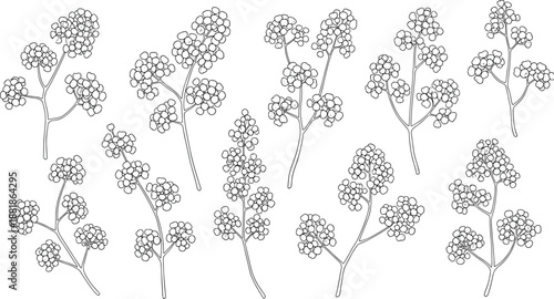 Black and white botanical icons featuring branching stems with berry clusters and circular buds for design and educational use
