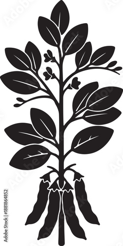 Finger Millet icon in silhouette white background.