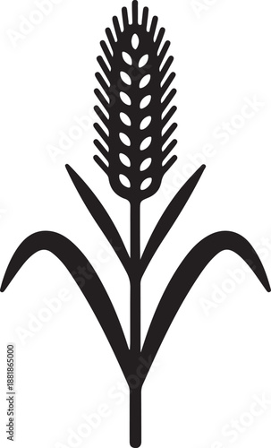 Foxtail Millet icon in silhouette white background.