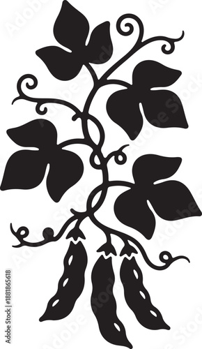Lima Bean icon plant in silhouette white background.