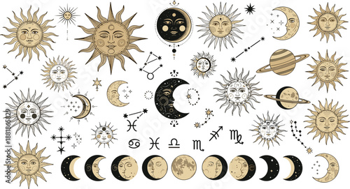 Black and white botanical icons featuring diverse flowers, buds, and leaves with fine line textures for design and education