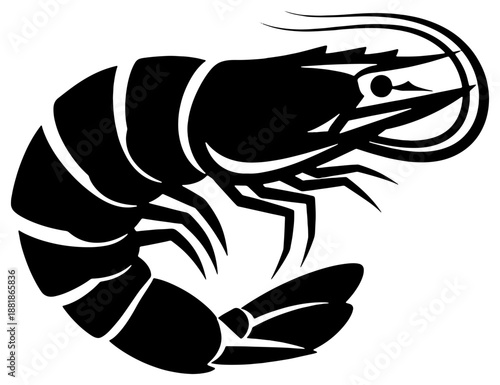 Black and white shrimp illustration