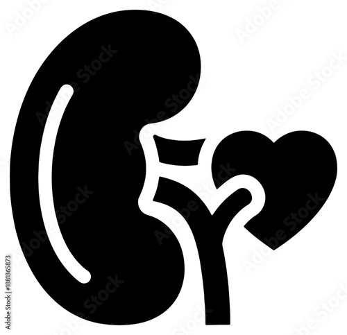 Silhouette of kidneys and urinary tract