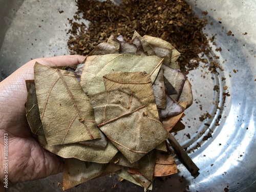 Photography A close up photo of the hands of a woman working in the beedi industry, a small business that produces in Asian countries