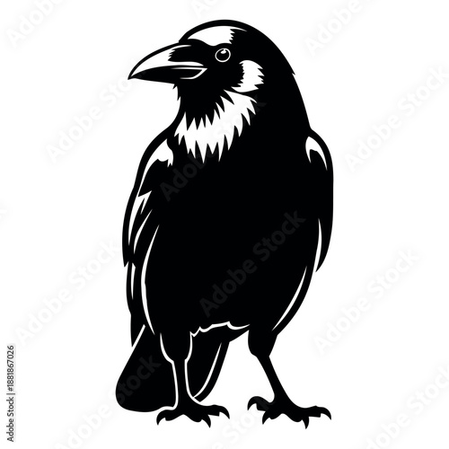 Digital graphic indicating the presence or availability of a vector file format