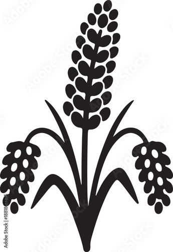 Proso Millet icon in silhouette white background.