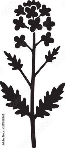 Rapeseed plant icon in silhouette white background..