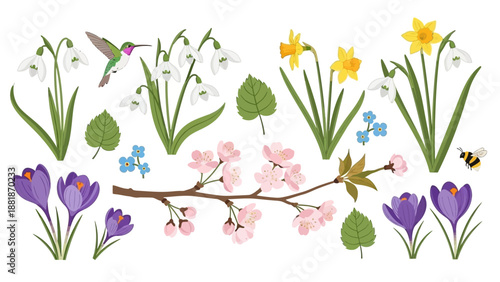 Watercolor Flowers and Hummingbird Illustration Set.