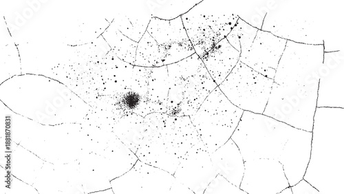 Dust isolated on white background, with clipping path and cracked effect.