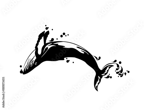 Orca Killer Whale with Ornamental Tribal Pattern Vector