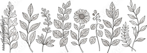 Black and white botanical icons featuring hand-drawn leaves and one flower in horizontal arrangement with fine line details