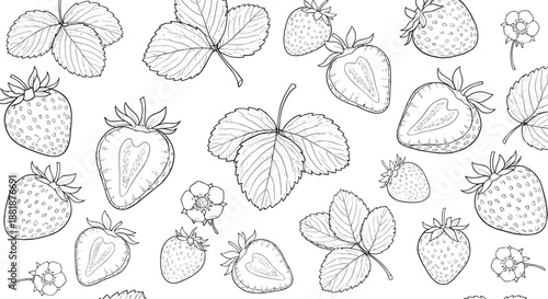 Set of hand drawn strawberry line art illustrations featuring whole berries sliced fruit leaves and flowers for botanical designs.