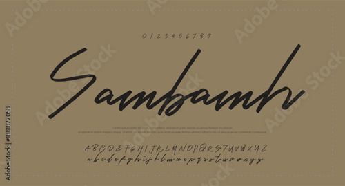  signature Font Calligraphy Logotype Script Brush Font Type Font lettering handwritten. vector illustration 