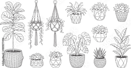 Detailed line art captures the essence of diverse potted plants, providing a clean and elegant view of interior design elements, offering a fresh, natural aesthetic.
