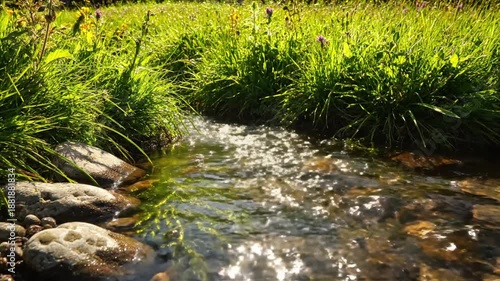 Wallpaper Mural Serene Water Movement Eye-level shot, emphasizing the smooth, continuous flow of the brook, with subtle glints of light dancing across the water where it meets the tranquil grassy bank, conveying Torontodigital.ca