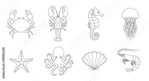Collection of Outline Marine Life and Seafood Icons