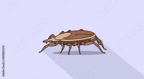 Illustration of a brown tick, a common disease vector and blood-sucking parasite.