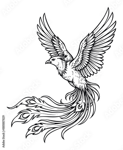 A powerful phoenix bird with outstretched wings and a flowing fiery tail in a mythical soaring pose, suitable for spiritual themed projects, symbolic merchandise, or captivating print media.