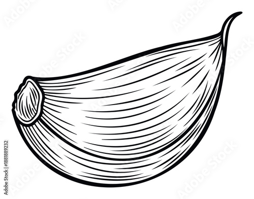 A simple black outline drawing of a single garlic clove, perfect for cooking blogs, recipe books, food packaging, spice labels, kitchen decor, or health and wellness promotions