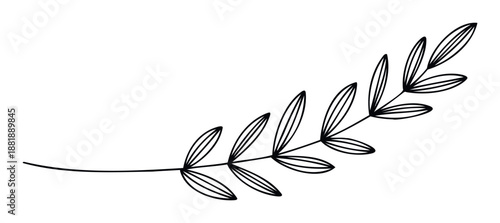Elegant hand drawn botanical branch with delicate leaves, perfect for creating sophisticated invitations, modern greeting cards, or organic branding elements