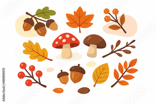 Mushrooms leaves and acorns on a light background with various shapes