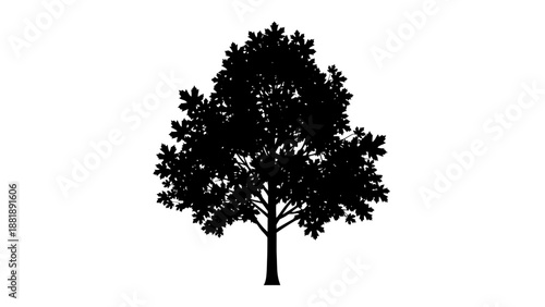 Silhouette of a tree with dense foliage against a white background.