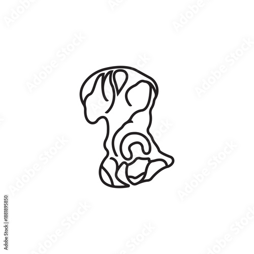 Pelvis black icon isolated on white background.