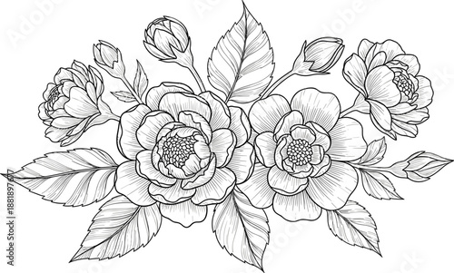 Botanical vector illustration of blooming flowers with leaves and buds in elegant black and white floral composition