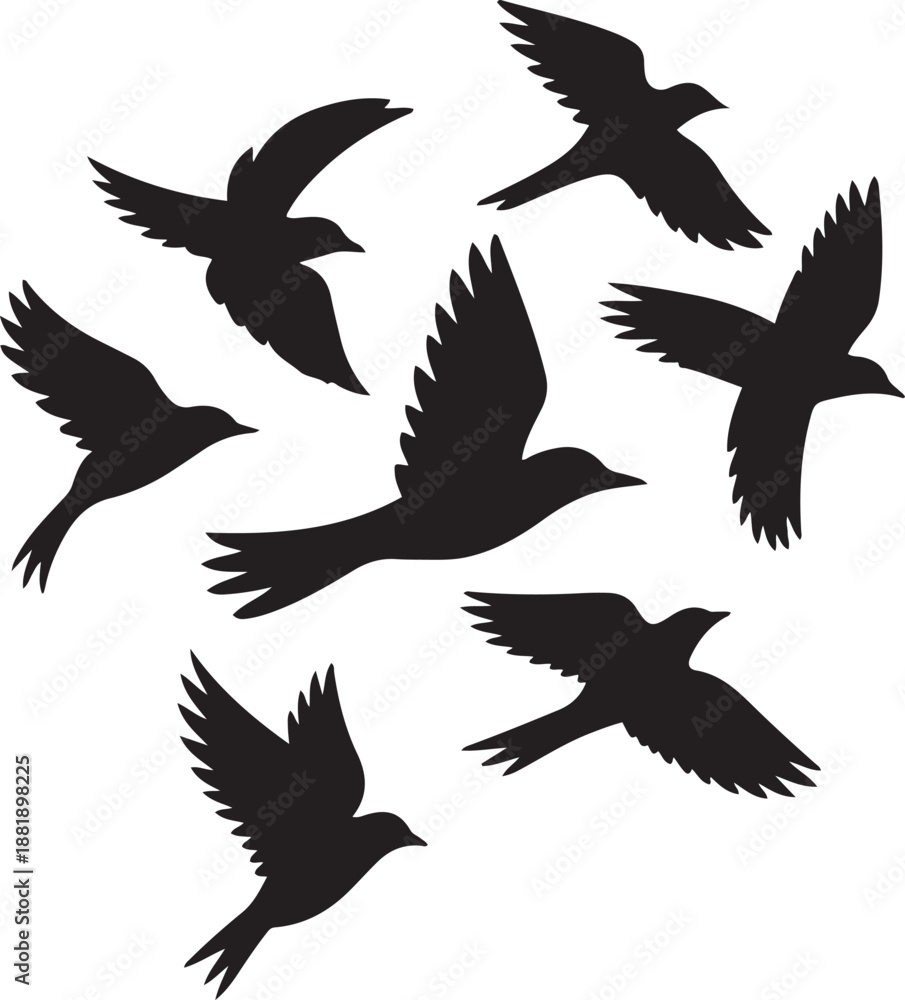 Obraz premium Flying birds. Silhouette vector illustration with white background.