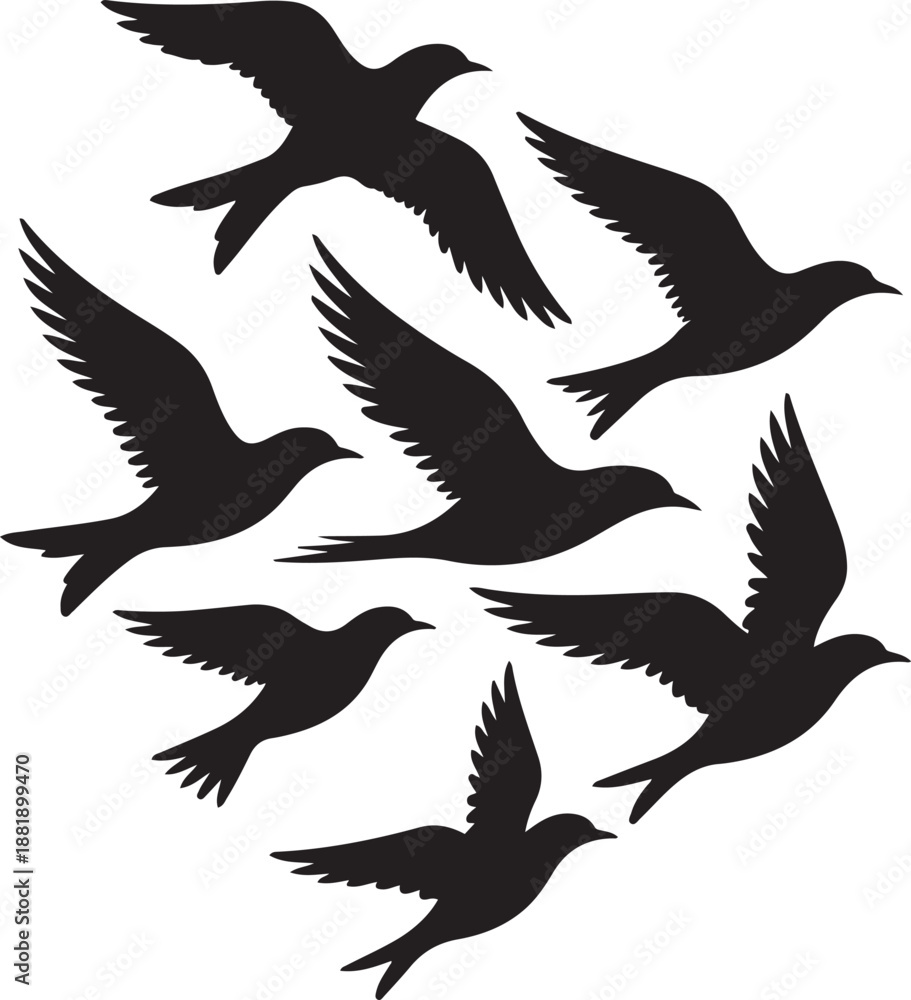 Obraz premium Flying birds. Silhouette vector illustration with white background.